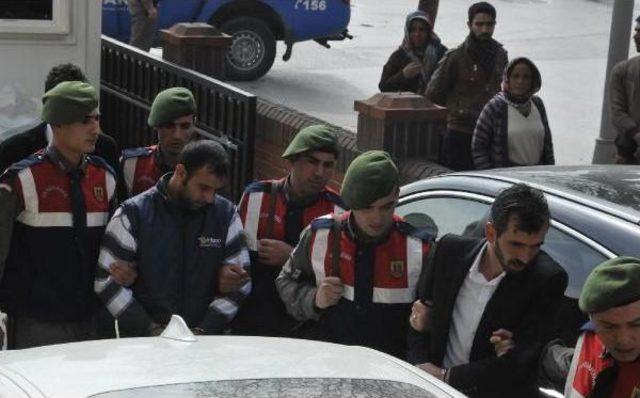 At Arabasına Koşmak I&ccedil;in Yarış Atı &Ccedil;alan 3 Ş&uuml;pheli, Serbest 3