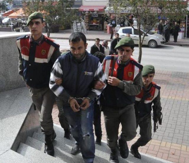 At Arabasına Koşmak I&ccedil;in Yarış Atı &Ccedil;alan 3 Ş&uuml;pheli, Serbest 2