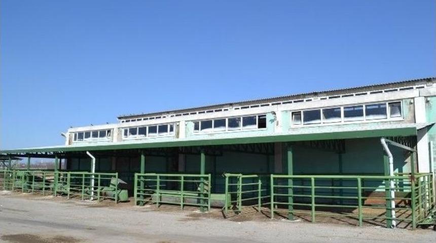 Malatya B&uuml;y&uuml;kşehir Belediyesi&rsquo;nden Canlı Hayvan Pazarına Yatırım