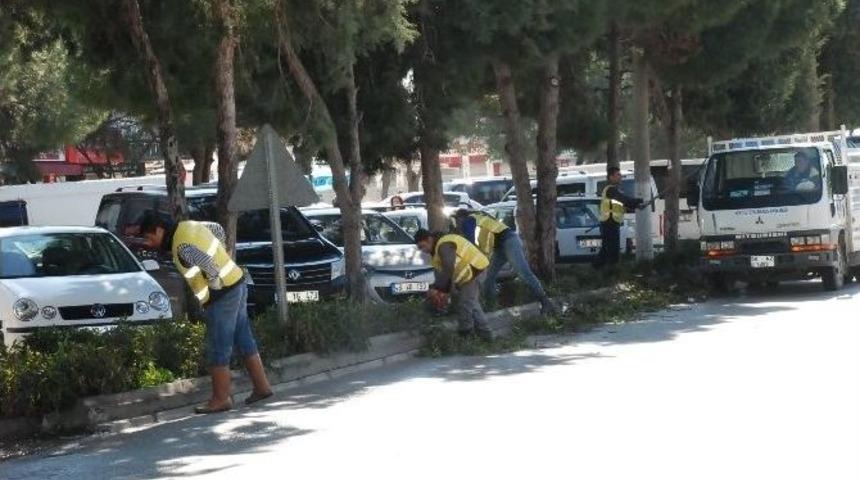 Aydın B&uuml;y&uuml;kşehir Didim&rsquo;de Temizlik &Ccedil;alışması Ger&ccedil;ekleştirdi