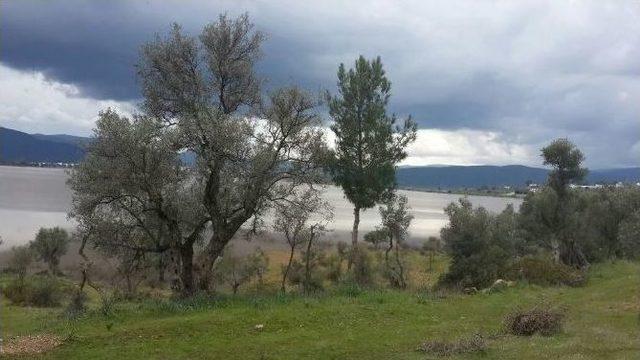 Bodrum&rsquo;da Mumcular Barajı Doldu Taştı 1