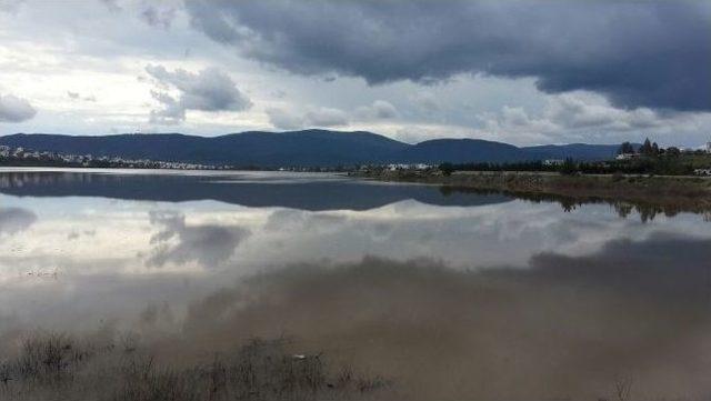 Bodrum&rsquo;da Mumcular Barajı Doldu Taştı 2