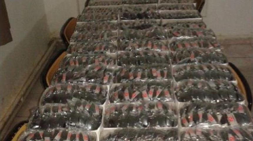 Hakkari'de 1430 Adet Ka&ccedil;ak G&uuml;neş G&ouml;zl&uuml;ğ&uuml; Ele Ge&ccedil;irildi