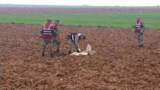 Şanlıurfa’da Silah Operasyonu