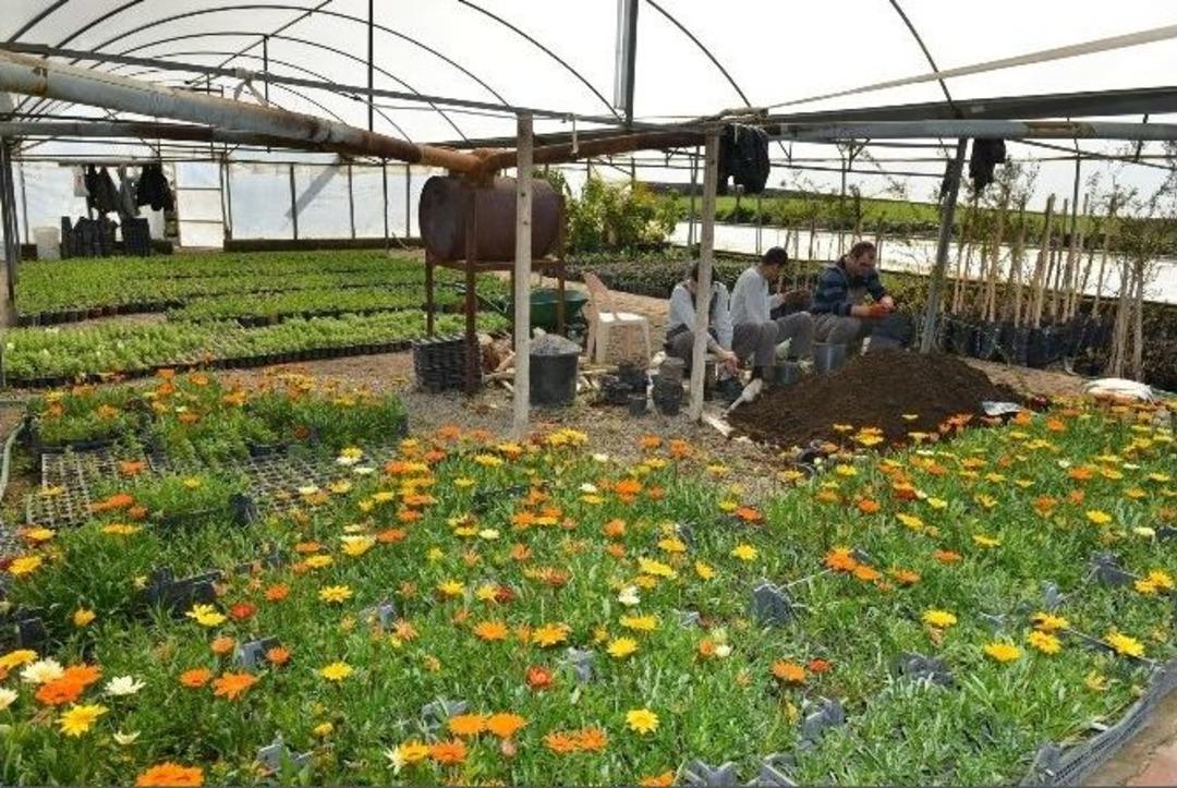 Fidanlık İle Yılda 1,5 Milyon Lira Tasarruf