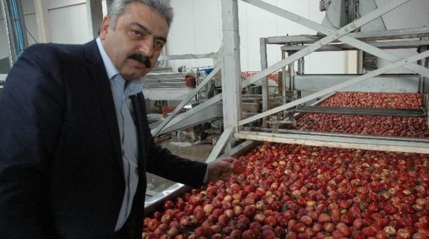 Karaman&rsquo;da Elma &Uuml;reticisi Beş Yıldır Teşvik Bekliyor