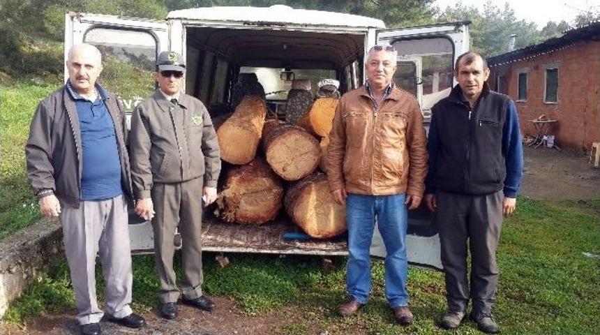 Marmaris&rsquo;te Tomruk Ka&ccedil;ak&ccedil;ılığı