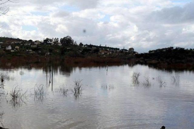 Menderes Nehri Yağmur Ve Kar Sularıyla Taştı