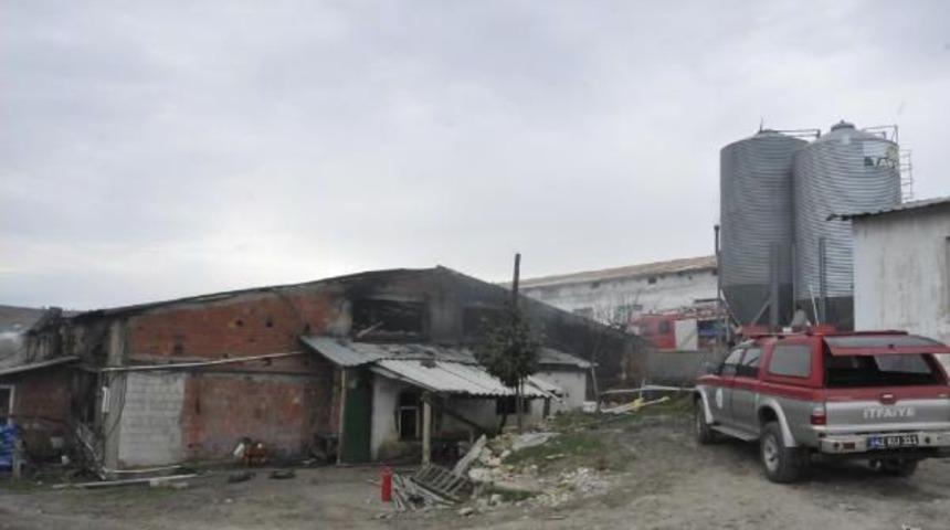 Tadilat &Ccedil;alışması Sırasında 40 Bin Tavuk Kapasiteli Tavuk &Ccedil;iftliği Yandı