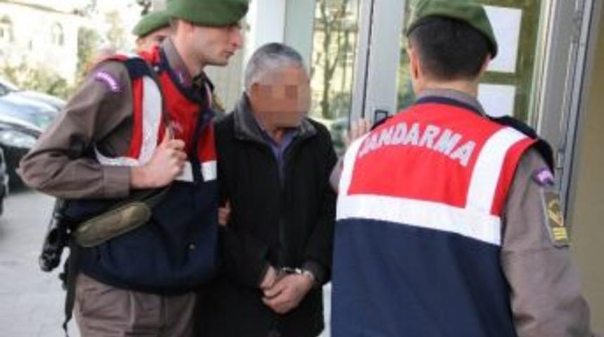 Kereste Hırsızlığı İddiasına G&ouml;zaltı