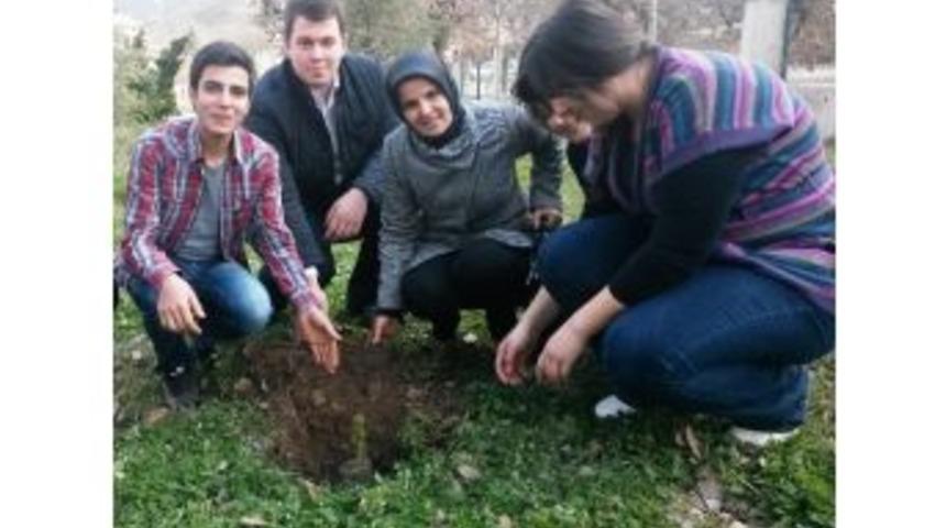 Ak Partili Hanımlar Fidan Dikti