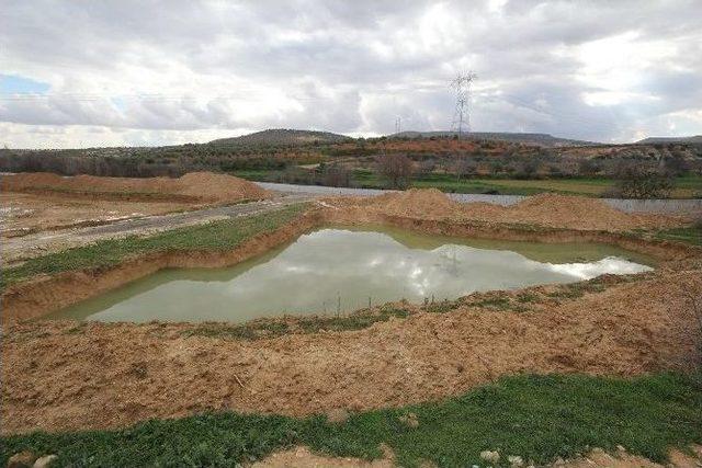 Karadağ, Çalışmaları Yerinde İnceledi 1