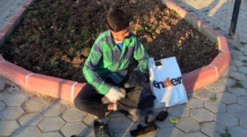 Boyacı &Ccedil;ocukların Dramı