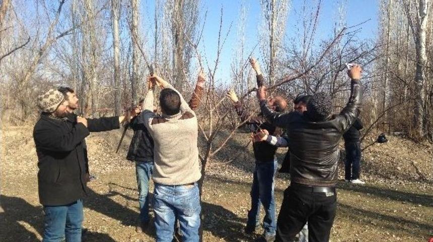 Iğdır&rsquo;da &ldquo;ağa&ccedil; Budama Eğitimi&rdquo; Verildi