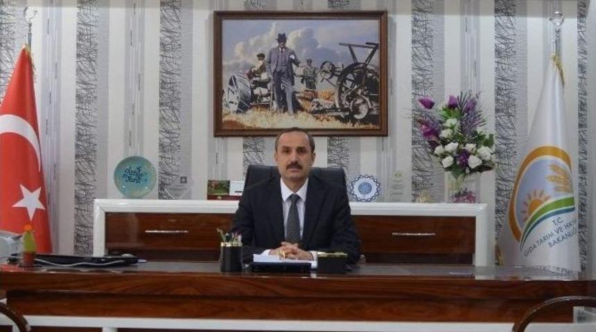 Siirt&rsquo;te 250-300 Bin Dolayında Hayvan Doğumu Bekleniyor