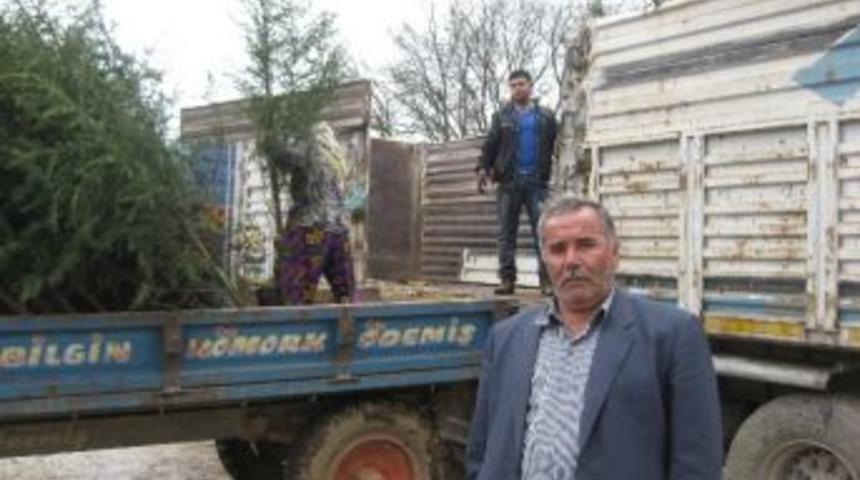 &Ouml;demiş, T&uuml;rkiye&rsquo;deki Fidan &Uuml;retiminin Yarısını Karşılıyor