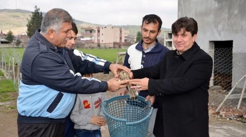 Yaralı Şahin Koruma Altına Alındı