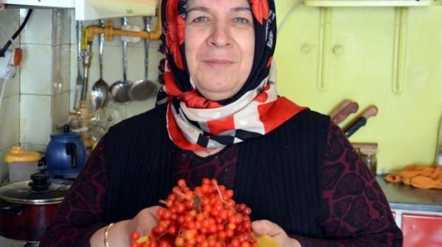 &lsquo;Gilaboru&rsquo; Her Derde Deva