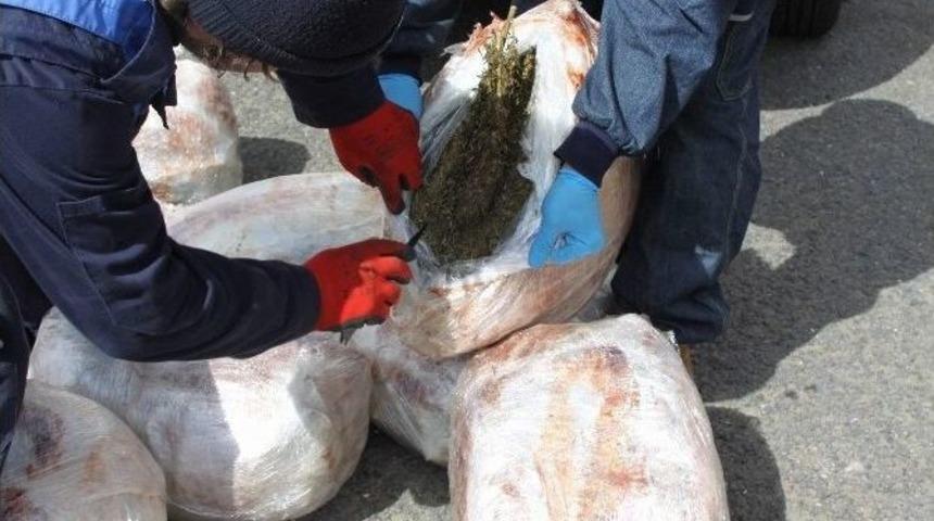 Gaziantep&rsquo;te 101 Kilo Esrar Ele Ge&ccedil;irildi