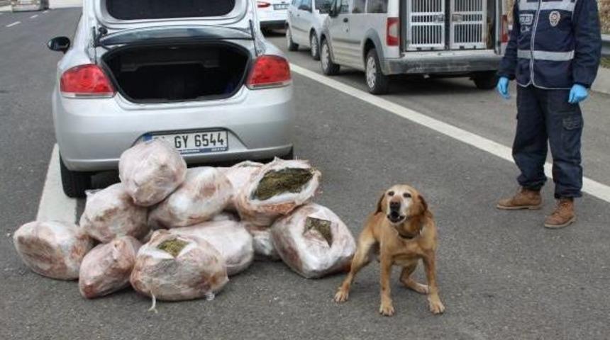 Gaziantep'te 81 Kilo Esrara 1 Tutuklama