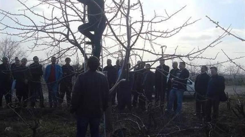 Tekirdağ&rsquo;da Meyvecilik Eğitimi D&uuml;zenledi