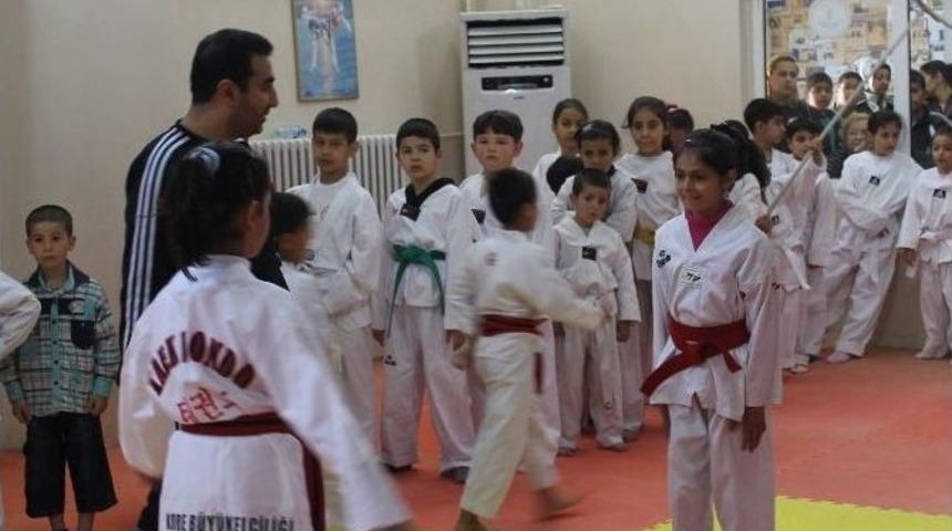 Tekvandoda 8 Madalya