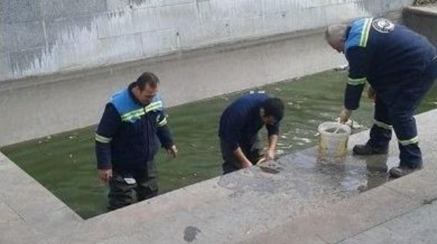 Odunpazarı&rsquo;nda Parklar Yaza Hazırlanıyor