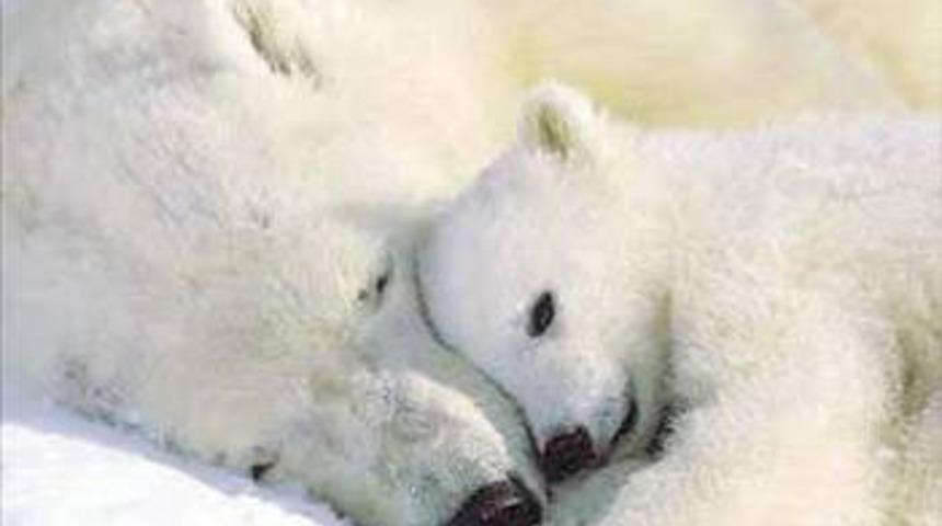 T&uuml;m zamanların en b&uuml;y&uuml;k yaratığı