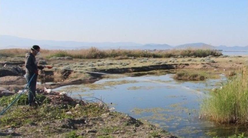 Sineksiz Bir Edremit İ&ccedil;in M&uuml;cadele Başladı