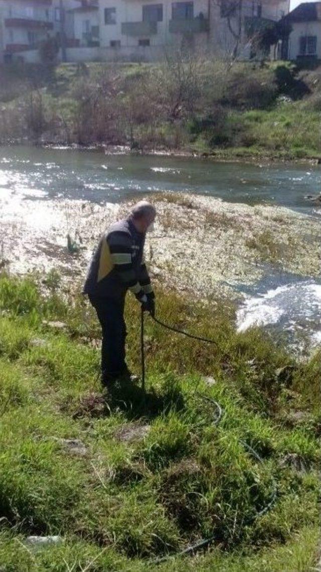 Sineksiz Bir Edremit İçin Mücadele Başladı 2