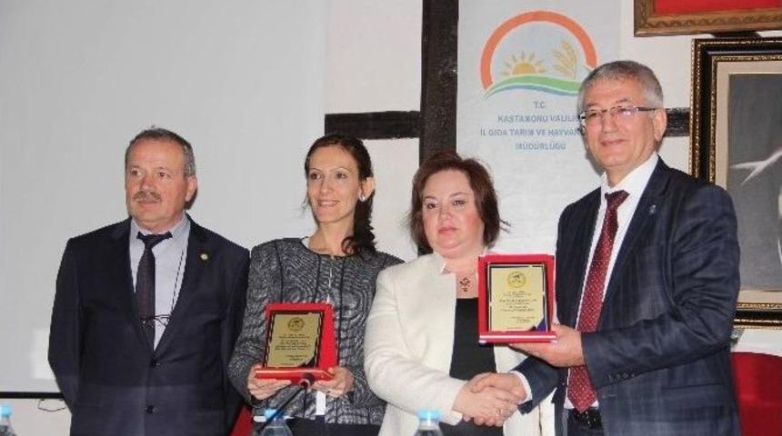 Ayı Saldırılarına Karşı, Arılar Sigorta Kapsamına Alındı