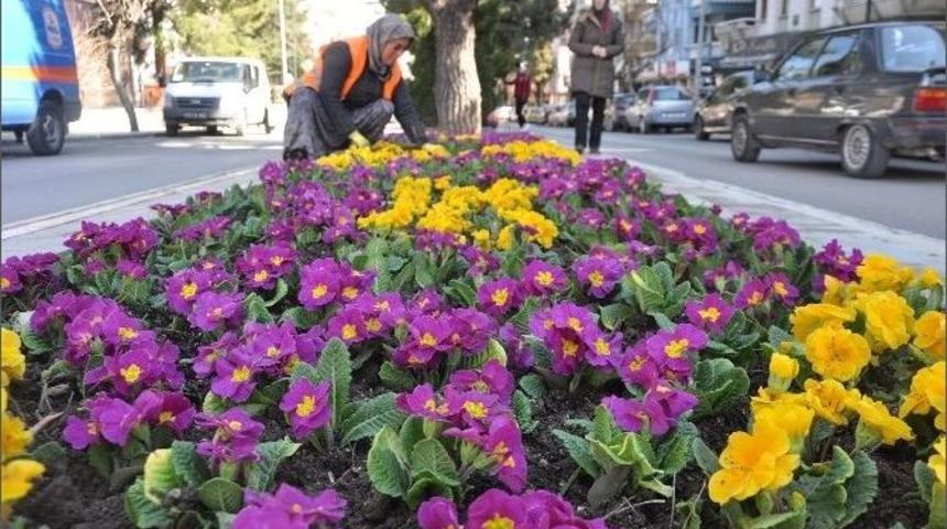 Isparta Bahara Hazırlanıyor