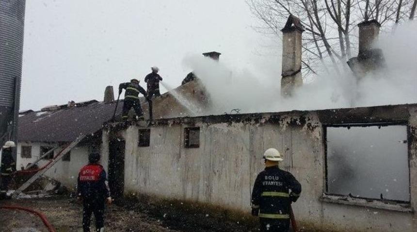 Bin 700 Hindi Telef Olmaktan Son Anda Kurtarıldı