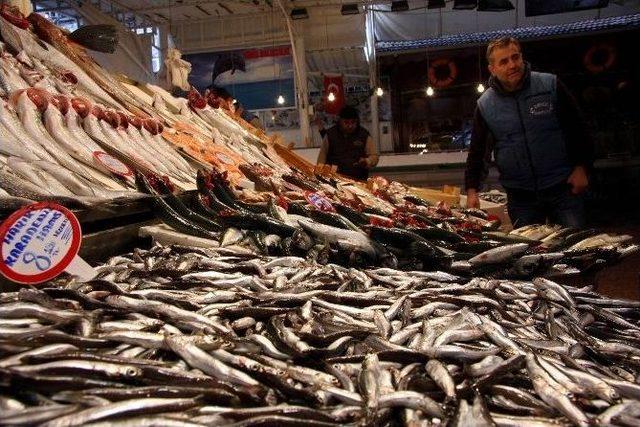 Balık Ucuzladı, Vatandaşın Yüzü Güldü