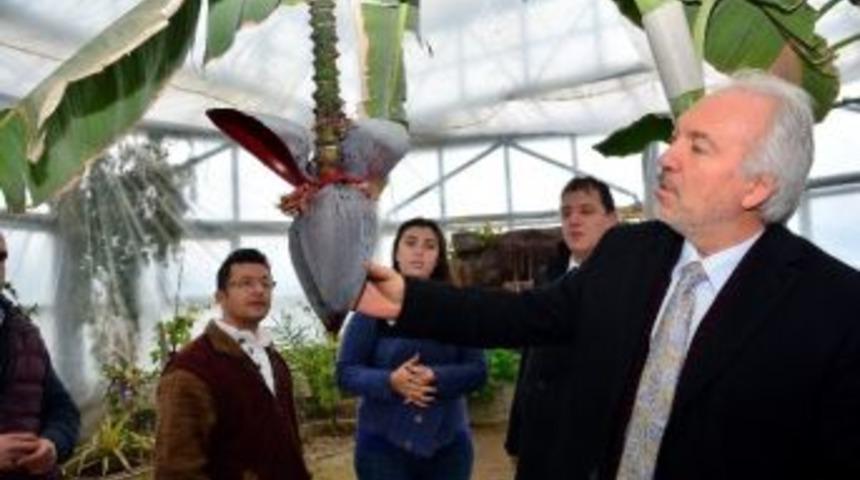 Ada &Ccedil;ayında İndirim