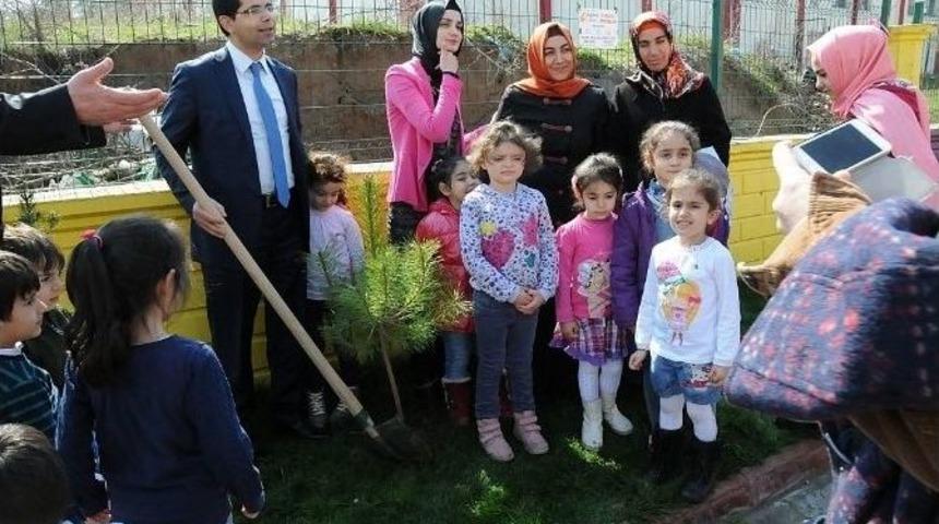 &Ccedil;elik Minik &Ouml;ğrencilerle Fidan Dikti