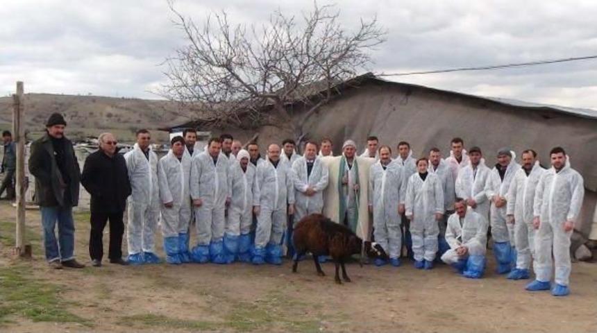 Koyun Ve Ke&ccedil;iler Artık S&uuml;r&uuml; Y&ouml;neticilerine Emanet Edilecek