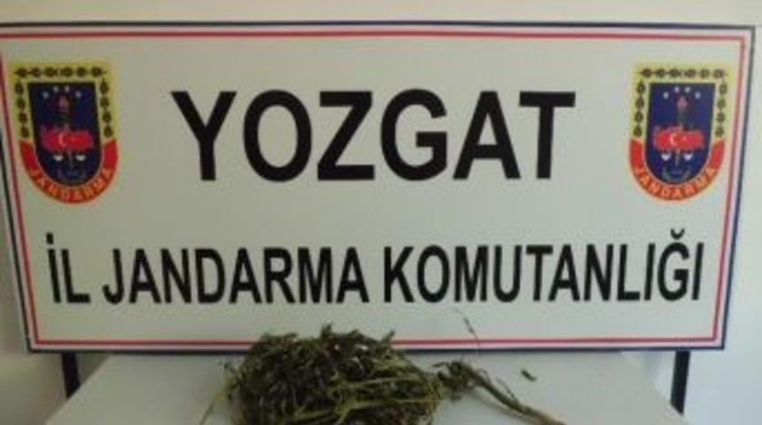 Yozgat Jandarma Hintkeneviri K&ouml;k&uuml;nden Zanlıya Ulaştı
