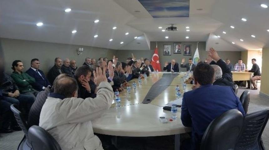 Bayan Meclis &Uuml;yeleri Başkan Vekili Oldular