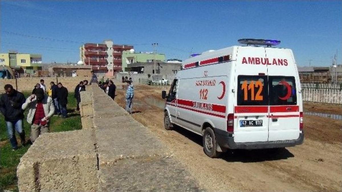 Kızıltepe&rsquo;de 2-3 Aylık İki Cenin Bulundu