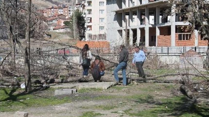 Banklar Parkı'nda Keşif Yapıldı