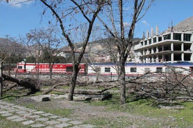 Banklar Parkı nda Keşif Yapıldı 3