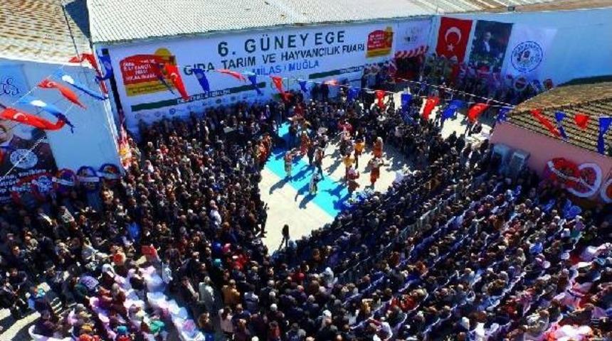 Milas Gıda, Tarım Ve Hayvancılık Fuarı Kapılarını A&ccedil;tı