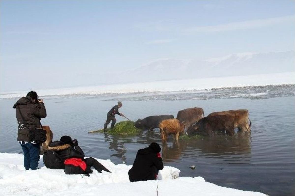 &Ccedil;aldıran&rsquo;da Zorlu Yaşam