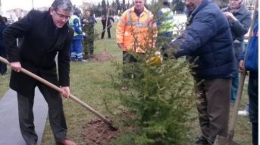 &Ccedil;orlu Devlet Hastanesi&rsquo;nde Fidan Dikim Şenliği Ger&ccedil;ekleştirildi
