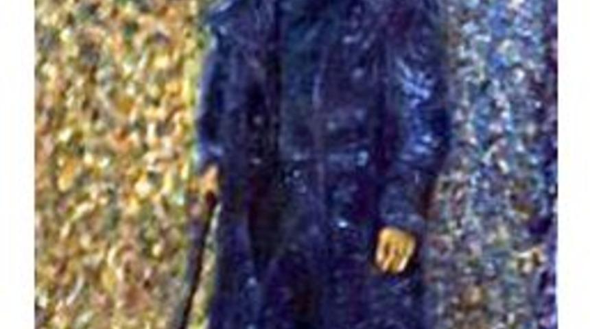 Tokat'ta Polisten Van Gogh Operasyonu