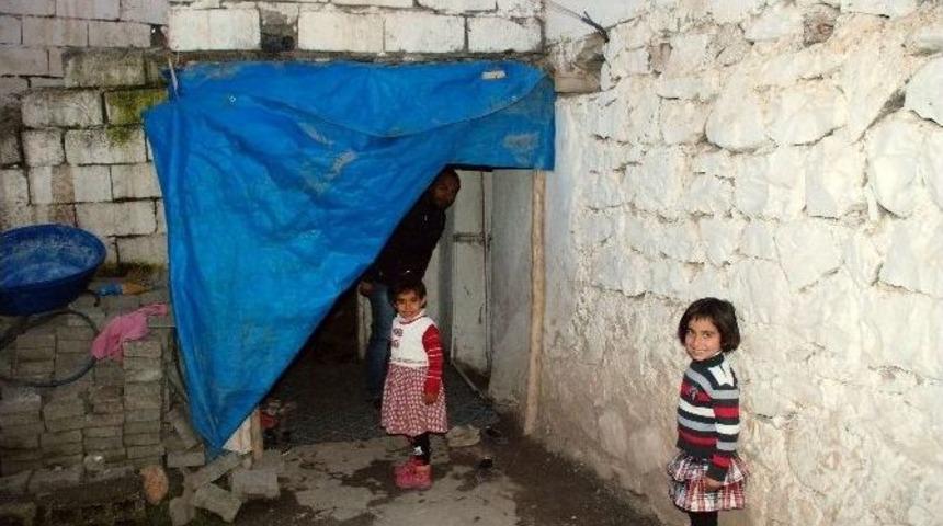 (&ouml;zel Haber) &Ccedil;ocuklarını Okutabilmek İ&ccedil;in B&ouml;breklerini Satışa &Ccedil;ıkardı