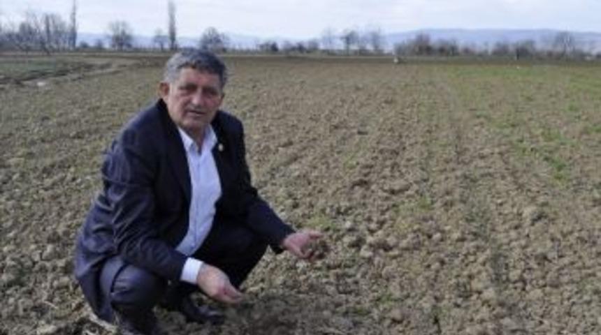 (&ouml;zel) Tarım Ambarı Yenişehir&rsquo;de Organik Tarım Yapan Yok