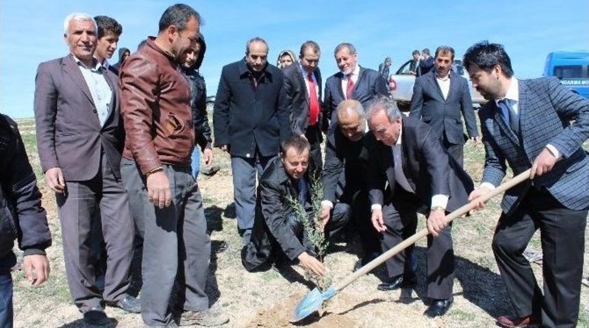 Samsat&rsquo;ta Kutlu Doğum Etkinlikleri Erken Başladı