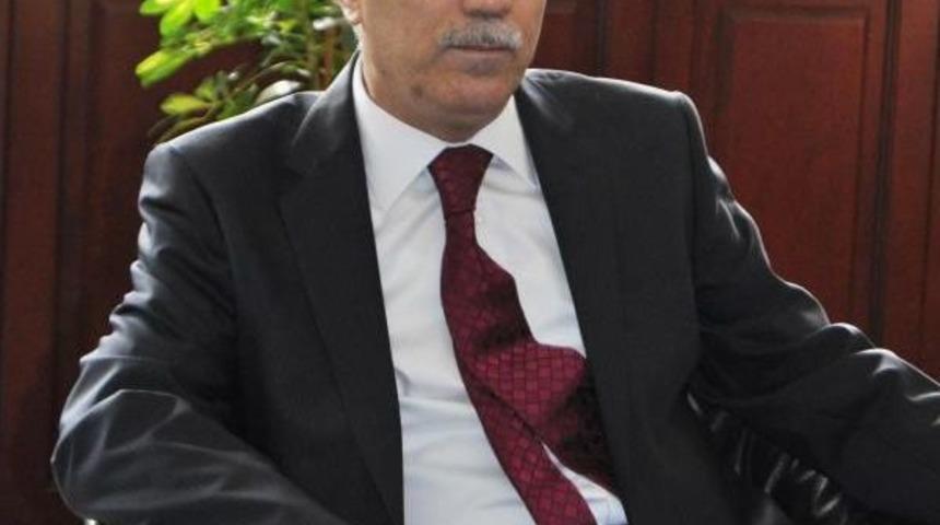 Orman Bakanlığı M&uuml;steşarı: Sokak Hayvanları Şehirleşmenin Problemi